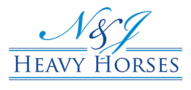 N & J Heavy Horses